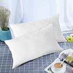 AG's Active Microfibre Solid Sleeping Pillow Pack of 2 (White)