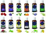 MORIOX Rose,Lavender,Jasmine,Mandarin,Rosemary,Tea Tree,Eucalyptus,Citronella,Lemon,Lemongrass,Peppermint,Ylang Ylang Essential Oil