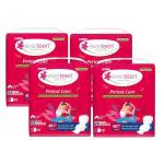 everteen Period Care XXL Soft Double Flaps enriched with Neem and Safflower - 4 Pack (40 Pads each, 320mm)