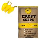 Trustbasket Yellow Pepper Vegetable Seeds (1)