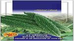 PLATONE Bitter Gourd Santur F1 Hybrid Seeds(Pack Of40 seeds)