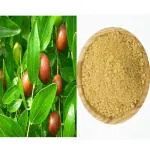 Vi Vethan Ilanthai ilai (INDIAN JUJUBE LEAF) Powder 50gm