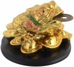 SoilMade Money Frog Golden Color Size Approx 8 cm