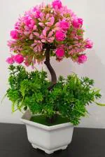Dn Enterprises Multicolor Bonsai Wild Artificial Plant With Pot For Home Decor Mini Decorative Office Gift