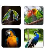 Whats Your Kick Birds Lover Parrots And Peacock Printed Set of 4 Coaster With Metal Stand