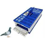 Taiyo Pluss Discovery Pigeon Cage And Birds Foldable Pigeons Large