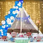 1iAM 45pcs Blue, White Cabana Happy Birthday Decoration Combo - 41pcs Balloons,1pc Banner, Net, Light & Arch for Husband, Wife, Girls, Boys Birthday | Home, Room, Office Party Decoration Items