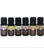 Song of India Aroma Diffuser Oil, 10 ml, Pack of 6