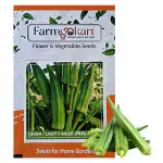 Farmgokart |20 Gms OKRA (BHINDI) SEEDS |for Home Gardening , Farming , Hydroponics and Poly Houses|