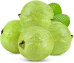 XOLDA Organic Guava fruit Seed (20 per packet)