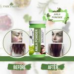 Park Daniel Amla Powder For Hair Conditioner, 100 G |Hair Care|Dandruff Control hair Powder|Healthy Strong Hair Mask