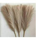 SATYAM KRAFT 3 Pcs Faux Pampas Grass Large Tall Fluffy Artificial Fake Flower Boho Decor Bulrush Reed Grass for Vase Filler Farmhouse Home Decor (Light Brown) (Pack of 3)