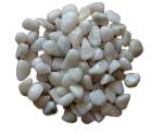 Maalavya White B Size Pebbles - 4.95 Kg