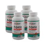 Way2Herbal Arjuna Heart Care 500 mg 120 Capsules (Pack of 4)