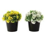 Foliyaj Artificial Plants With White And Yellow Rose Flowers 15 x 15 cm
