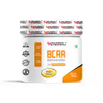 Animal Booster Nutrition BCAA Instantized 300gm - Orange