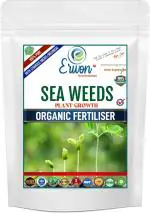 Sansar Green Sea Weeds Plant Growth Organic Fertilizer Fertilizer (0.9 kg, Powder)