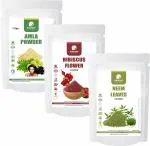 Amazercare Hibiscus + Amla + Neem Powders Combo 100% Natural For Hair & Growth (3 Pouches) Anti Dandruff & Healthy Hair Care Combo
