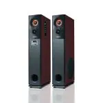 Impex Thunder T2 80 Watts 2.0 Bluetooth Tower Speaker with USB/SD/TF/FM Radio/AUX/Mic & Remote