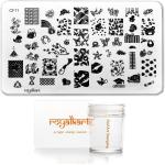 Royalkart Nail Art Kit For Women Nail Art Stamping Plate With Silicone Stamper For Nail art