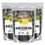 Bliss of Earth 3x100gm unhulled Black Sesame Seeds, Kaale Til, Fresh & Organic Fully Fiber Rich Great for Cooking & Baking