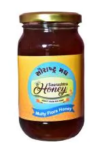 saurashtra honey bee farm MultiFlora best quality Honey 500 gram