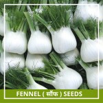 Farmgokart | 200 Seed Pack of FENNEL SEEDS | Best Suitable For Terrace And Home Gardening