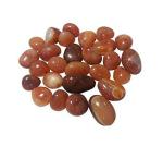 Astroghar Multicolor Carnelian Crystal Tumble Stone (200 g)