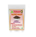 YUGANTAR KUTKI ROOT - KATUKI JADD - KUTAKI ROOTS - PICRORHIZA KURROA 100 GM