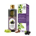 Buddha Natural Anti Grey Hair Shampoo - 100% Ayush Certified - Chemical Free Revitalizing Cleanser for Premature Grey Hair