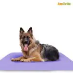 Amorite Waterproof Reusable Washable Dog Bed Sheet for Bed Protector (100cm X 140cm) Violet