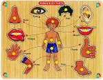 Childgossip Wooden Body Parts Learning Puzzle Toys Human Body Organs Chart Board (1 Pieces)