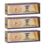 Satya Shiv Teerth Premium Incense Sticks (Pack of 3) (100 Gram Each Box)