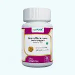 ANJIX Salai Guggul Boswellia Serrata Extract 60 Percent Boswellic Acid, 500 mg (60 Vegetarian Capsules)