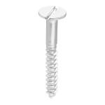 AKS Stainless Steel Contersunk Head Self Tapping Slotted Wood Screw Size 100X10 MM Pack Of 250 Piece