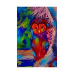 SHASWAT ART Abstract Colorful owl Painting Sparkle Coated Self Adhesive Wallpaper Without Frame Digital Reprint 24 inch x 36 inch Painting