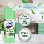 Domestos Bio Active Bleach Kitchen Maximum Hygiene 750ml