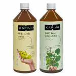 Kapiva Wild Tulsi Giloy Juice 1L + Kapiva Wild Amla Juice 1L | Boosts Immunity and Digestion