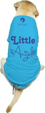 Petzico Sky Blue Graphic Print T-Shirts