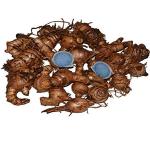 Tantra Siddha Very Rare Fresh Kali Haldi Black Turmeric Curcuma Caesia Orginal 1kg