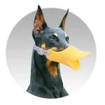 Pets Empire Silica gel Duck Muzzle Face Mouth guard Protection Dog Puppy Anti Barking, Small