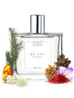 EM5 BR 540 Unisex Perfume Eau De Parfum Long Lasting Fragrance Woody Warm Spicy, 50 ml