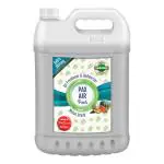 PaxAir Fresh Extra Strong Air Freshener DeOdorizer Spray (Melon Crush), 5L