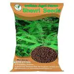 Iagrifarm Shevri Seed - 1 Kg/Sesbania Sesban Fodder Seed for Cultivation