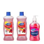 We Shine Disinfectant Surface & Floor Cleaner Liquid With Fragrance-(2x 1Ltr and 1 Handwash Free)