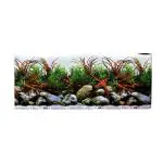 Taiyo Pluss Discovery Landscape Stone Fish Tank Background Poster With Plants For Tank 1 m