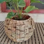 ASAMA ENTERPRISE LLP_Wicker Belly Planter (Bottom Dia- 10 inch, Top Dia- 10 inch, Height- 8 inch)