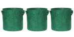 Divine Tree Fabric Grow Bags For Terrace Gardening, 10 Inch, 350 Gsm, Set Of 3 - Green