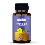 Godavari Gokshura - Nature's Energy Booster| Men's Wellness Tablets - 60 Count