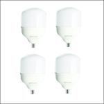 Rashmi Power Tech B22 White LED Bulb 30 W (Pack of 4)